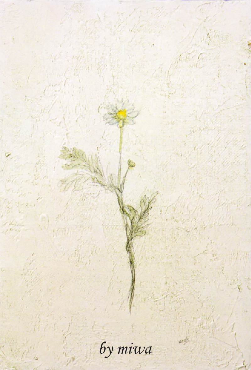 painting 'fiore' by miwa